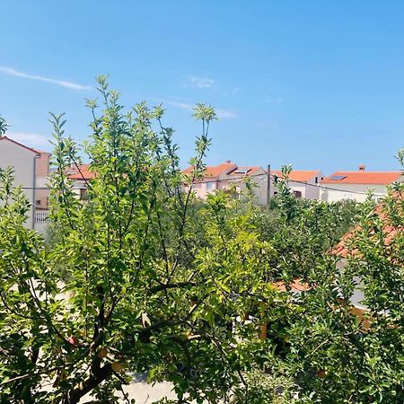 ביוגראד נה מורו Apartment Mrkic מראה חיצוני תמונה