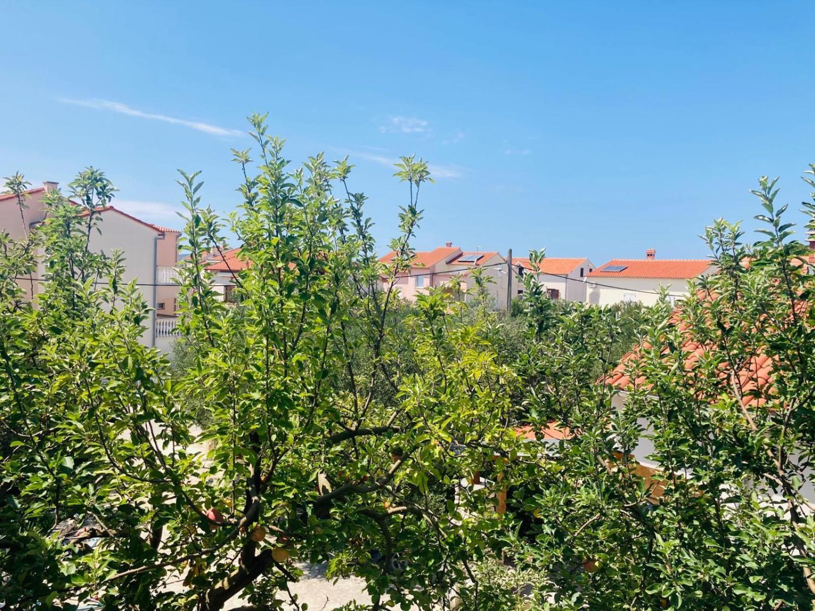 ביוגראד נה מורו Apartment Mrkic מראה חיצוני תמונה